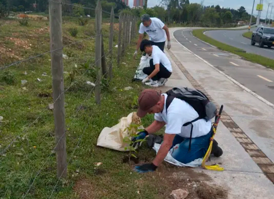 One Tree Planted Inc 