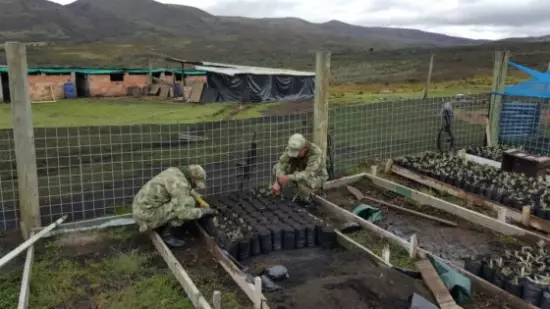 Soldados en Acción: Restaurando el Páramo de Sumapaz