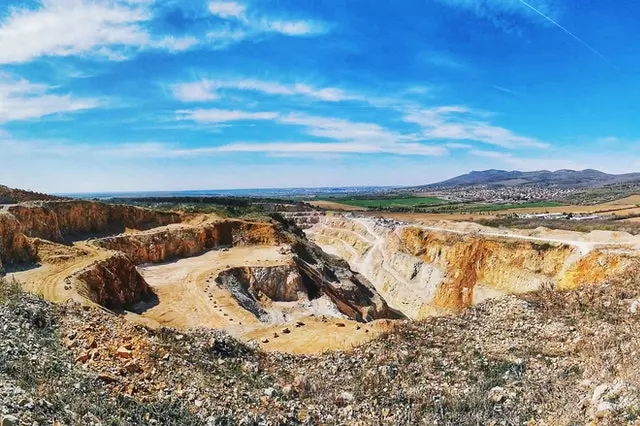 ¿Quieres reforestar un terreno con árboles nativos?