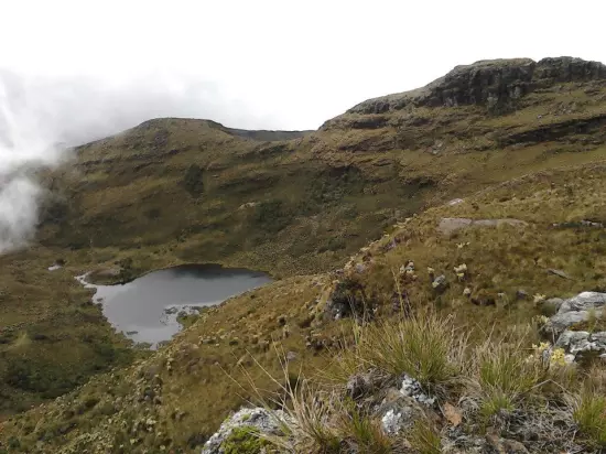 Delimitación del Páramo de Chingaza: Un Paso Crucial para su Conservación