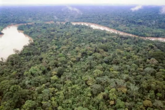 La Amazonia enfrenta su mayor amenaza histórica