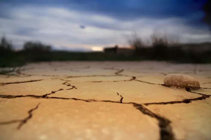 Día Mundial contra la Desertificación y la Sequía: Un Llamado a la Acción