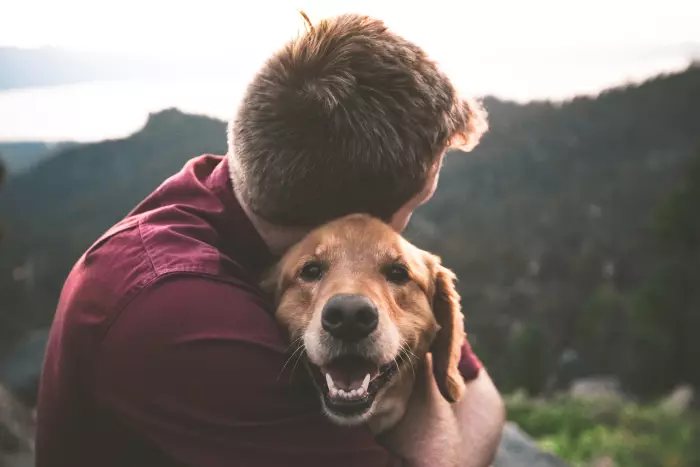 Perros y gatos no son considerados como propiedad en Francia