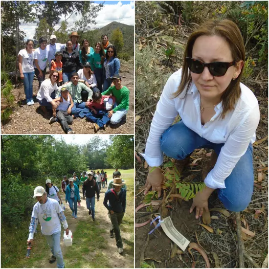 Sopas de Mamá y Postres de la Abuela: Unidos por la Reforestación