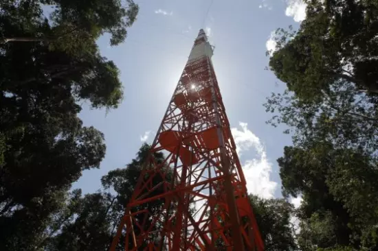 Torre de Vigilancia: La Más Alta de Sudamérica Protege la Amazonía