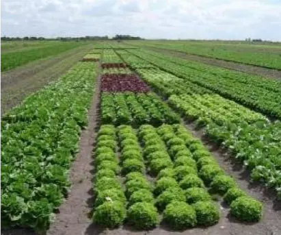 Agroecología: La Clave para el Futuro Sostenible de la Humanidad