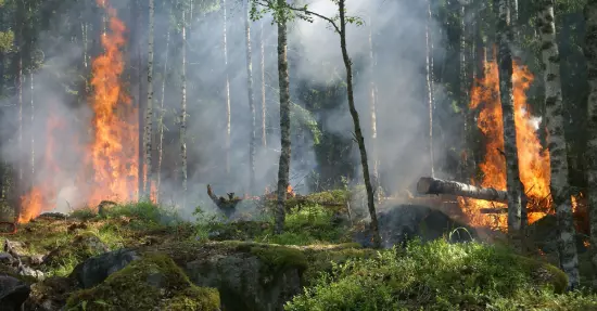 La Amazonía brasileña continúa ardiendo