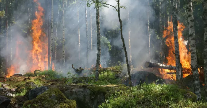 La Amazonía brasileña continúa ardiendo