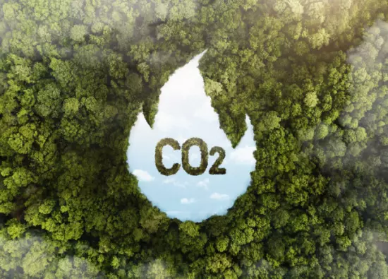 ¿Qué es Co2? (Dióxido de carbono)