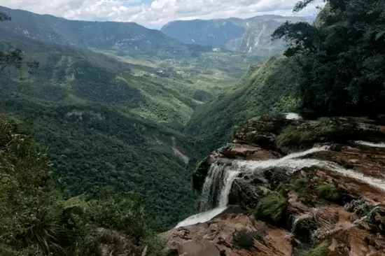 Deforestación en La Amazonia. Los bosques nos necesitan