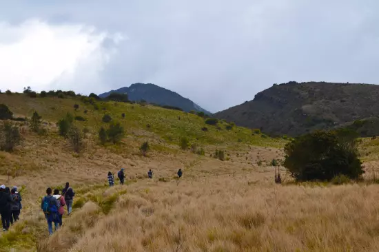 Educación Ambiental: Una Estrategia Aliada de la Reforestación