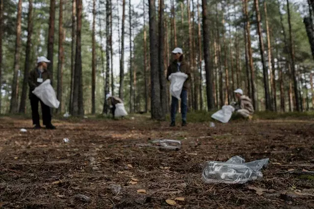 En qué consiste el monitoreo forestal