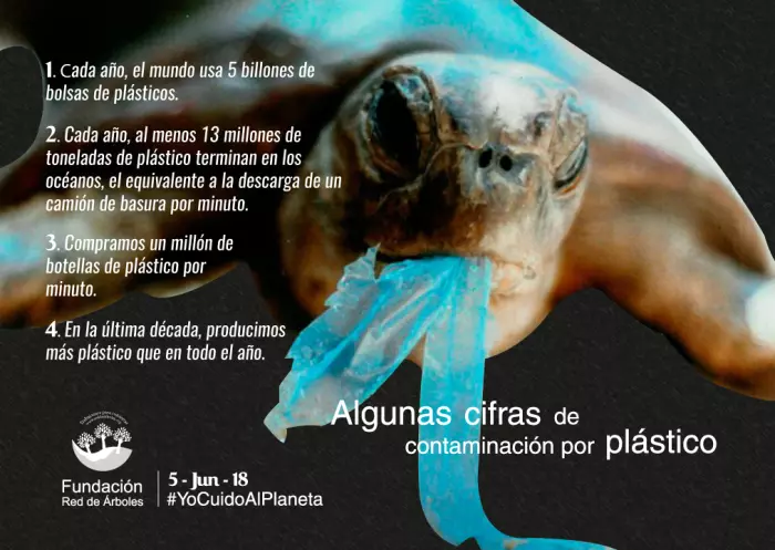 Más cifras impactantes acerca de los impactos que genera el plástico