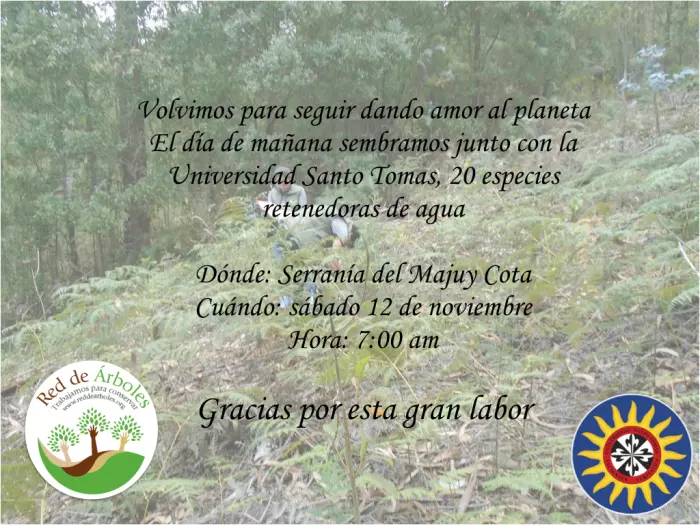 Reforestación en Acción con la Universidad Santo Tomás